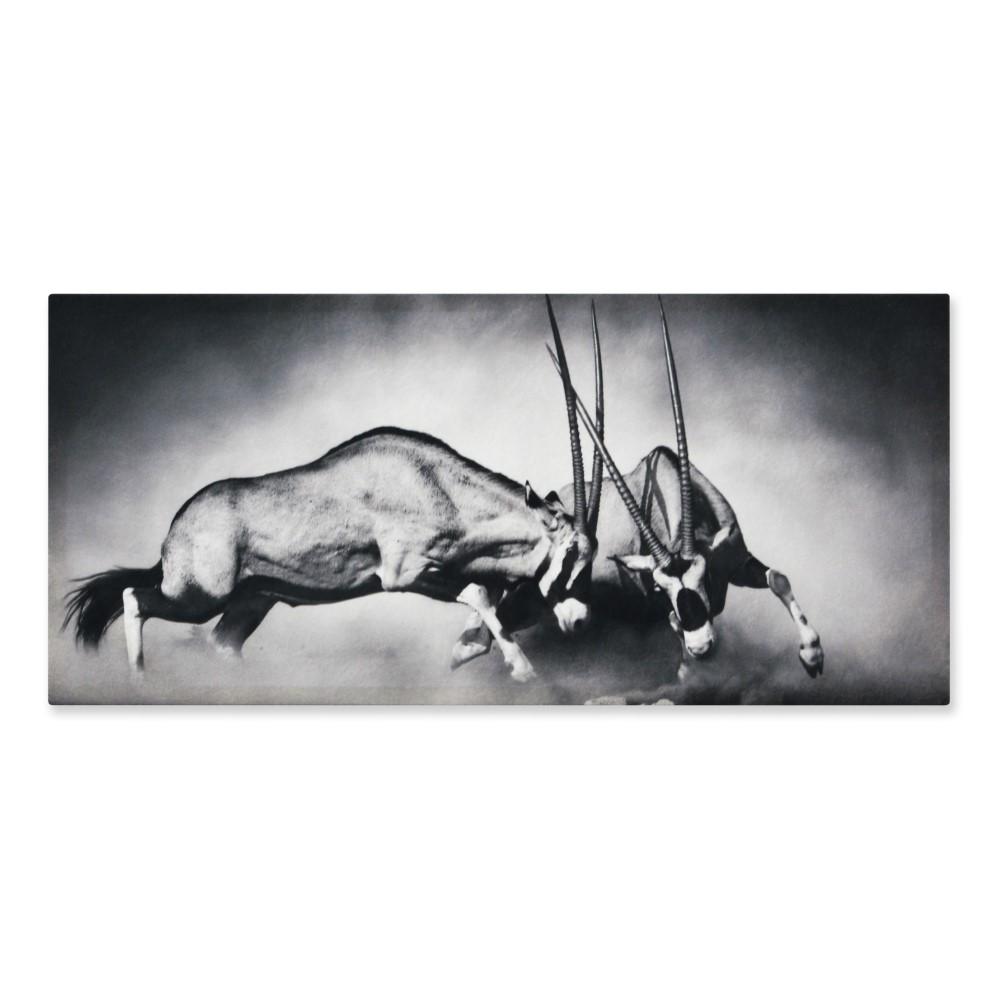 Cuadro Órices M rectangular Horizontal img #1