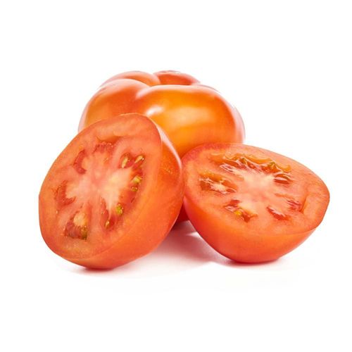 Tomate Chonto   1 und