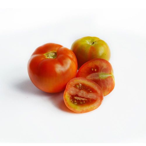 Tomate Chonto   1 und