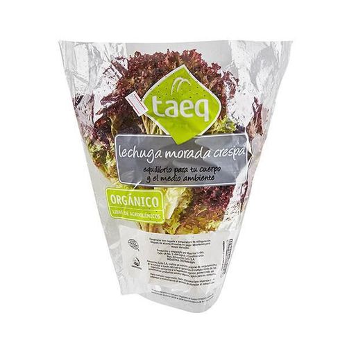 LECHUGA M/CRESPA ECOLOG.BOLSA TAEQ 220 gr