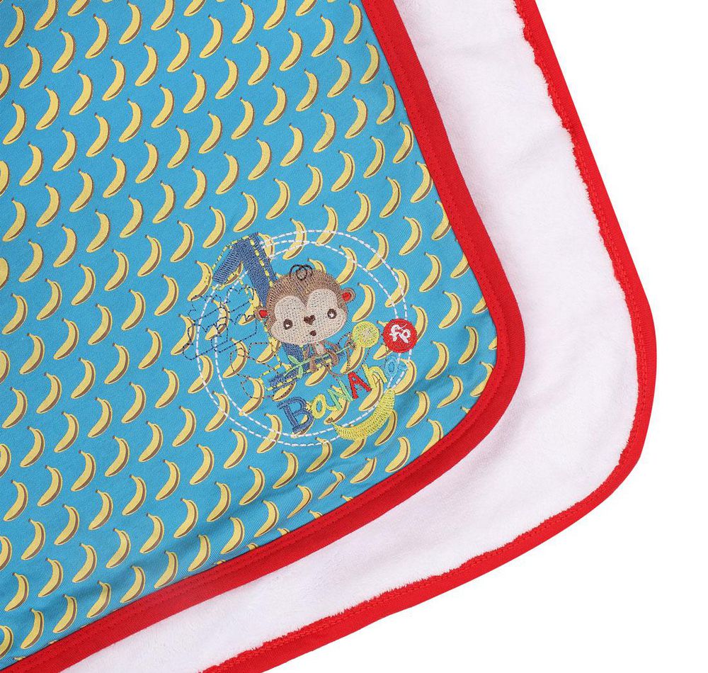 Cobija Para Bebe FISHER PRICE R FPBM31 img #5