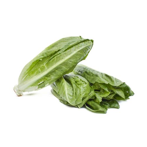 Lechuga Romana organica TAEQ 120  gr