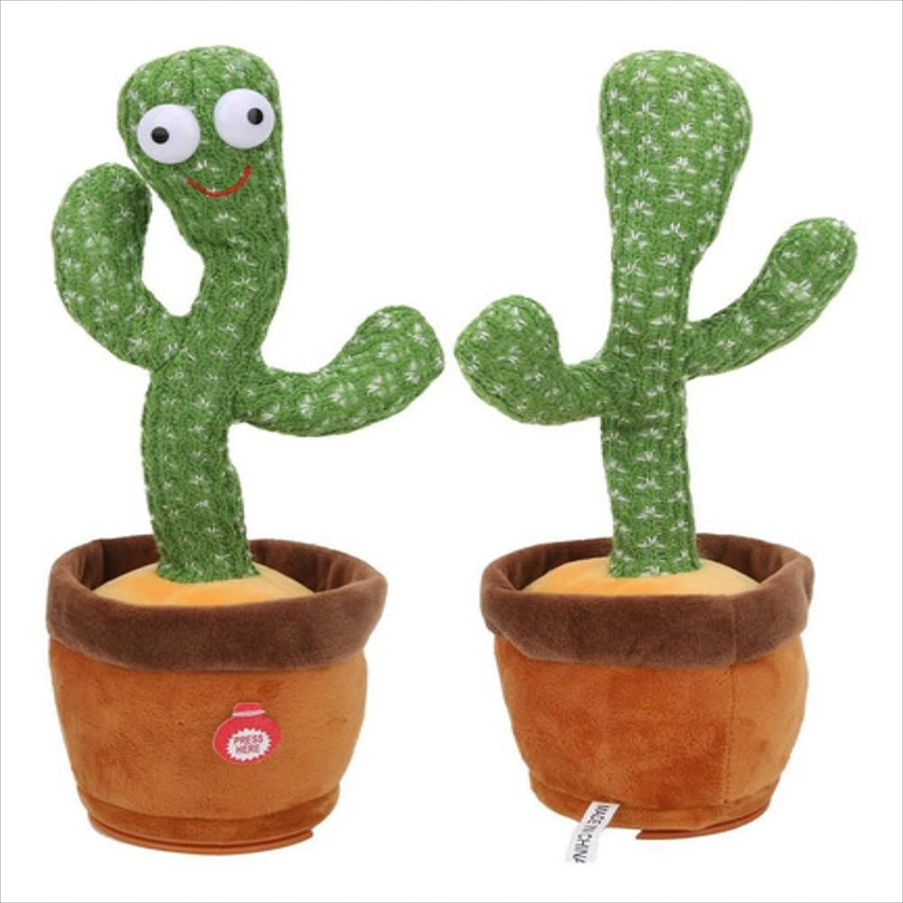Cactus Bailarin img #1