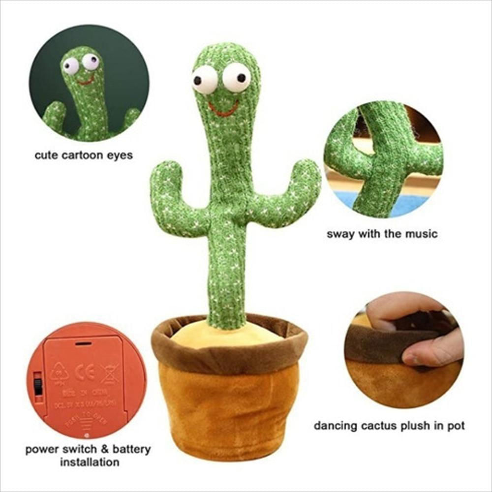 Cactus Bailarin img #2