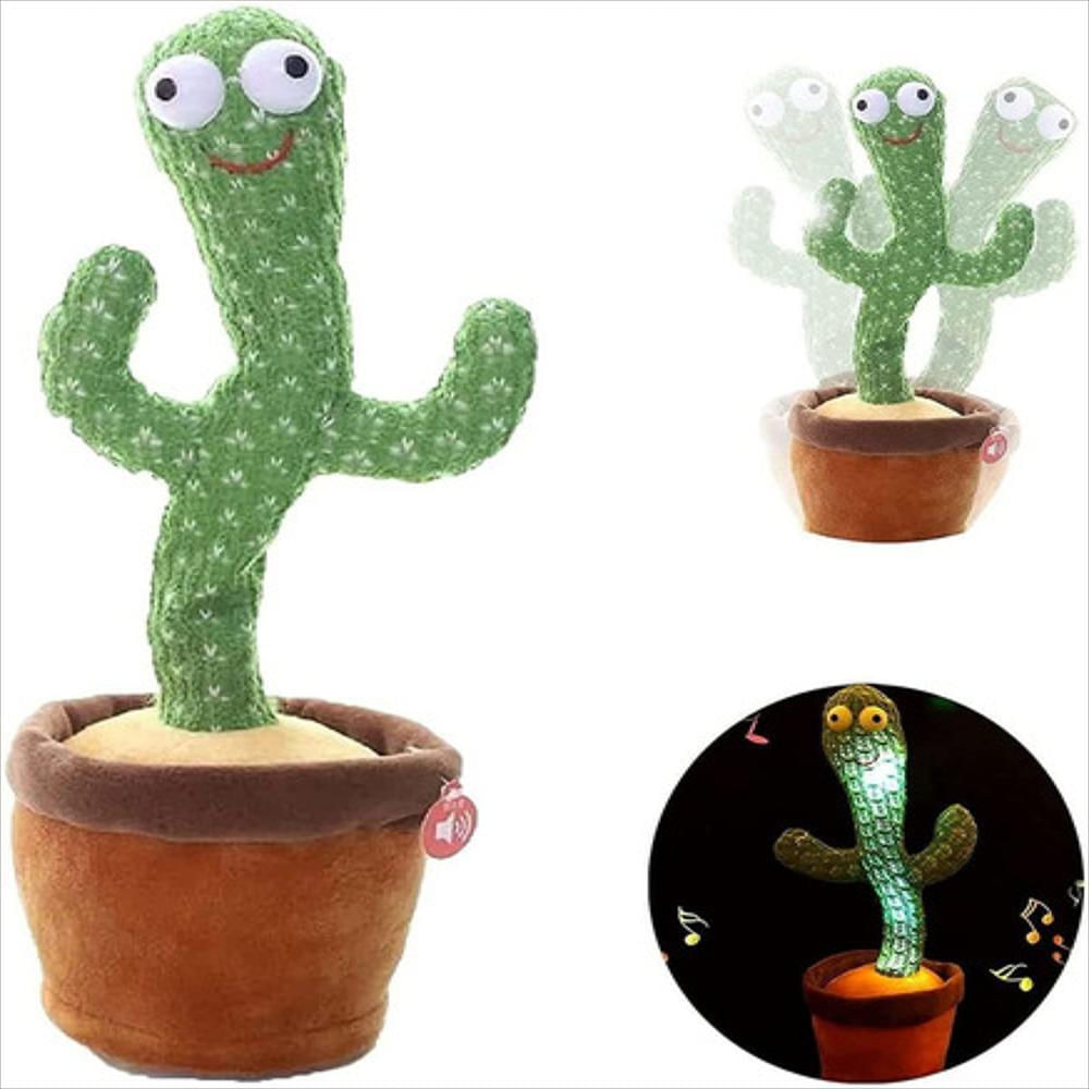 Cactus Bailarin img #3