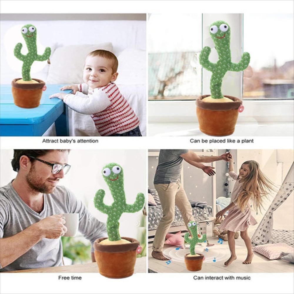 Cactus Bailarin img #5