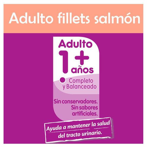 Aliment Masc Humed Adult Salmn WHISKAS 85  gr