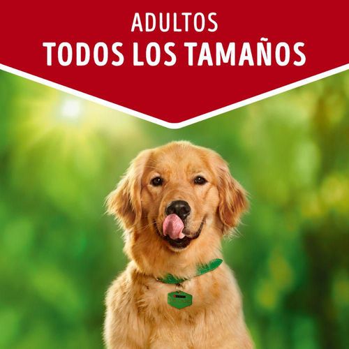 Alimento Humedo Carne Adulto PURINA DOG CHOW 100  gr