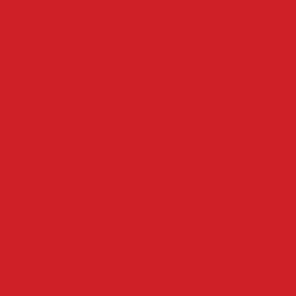 MINIROLL PLANO  ROJO Contact img #2