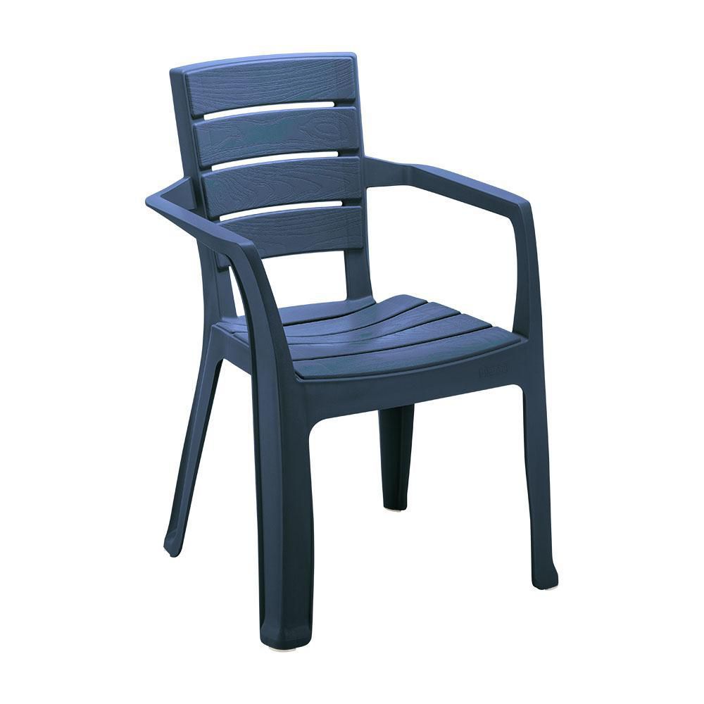 Silla Baru Con Brazos Azul Pet RIMAX 13228S img #1