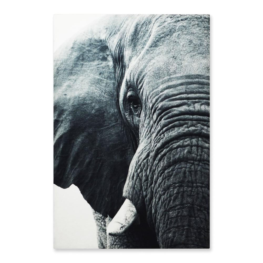 Cuadro Elefante XL rectangular img #1