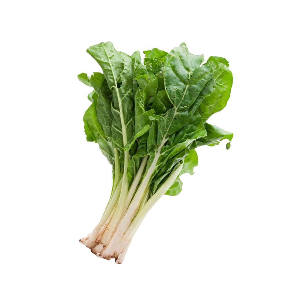 Acelga  500  gr img #1