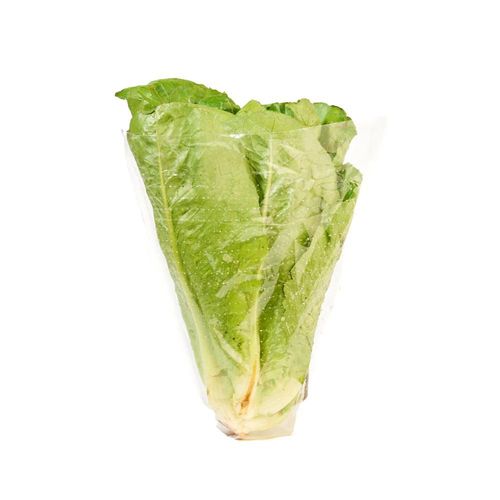 LECHUGA ROMANA ECOLOG. BOLSA TAEQ 220  gr