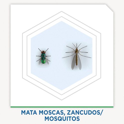 Insecticida Aerosol Vola+Rast RAID 800  ml