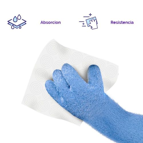 Servilletas FAMILIA medianas (300  und)