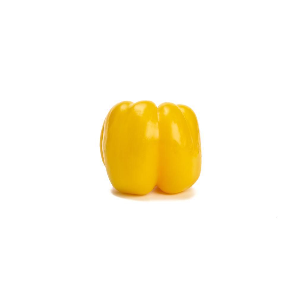 PIMENTON 3 COLORES KOSHER  500  gr img #2