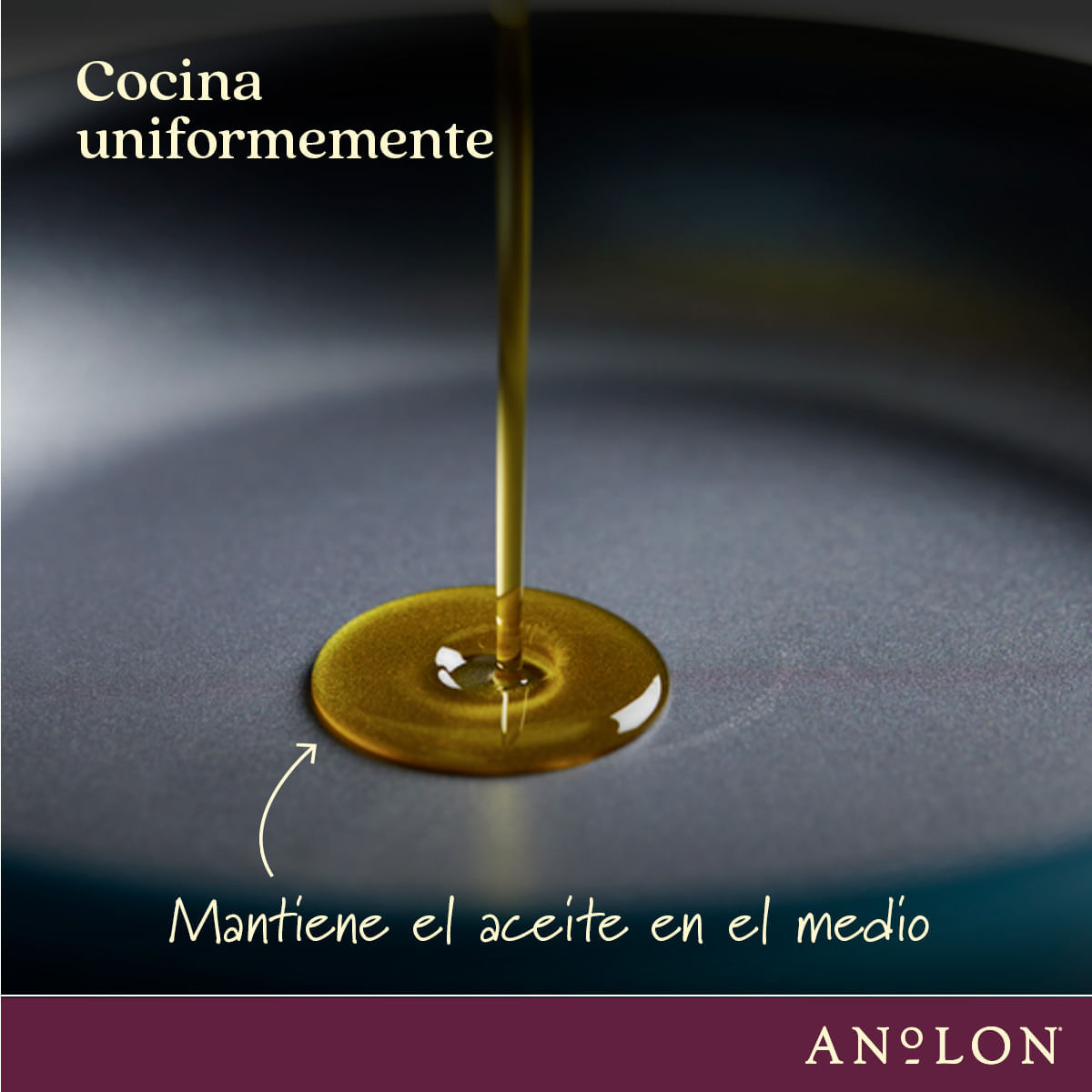 Sartén antiadherente anodizado duro. Archieve Anolon img #8
