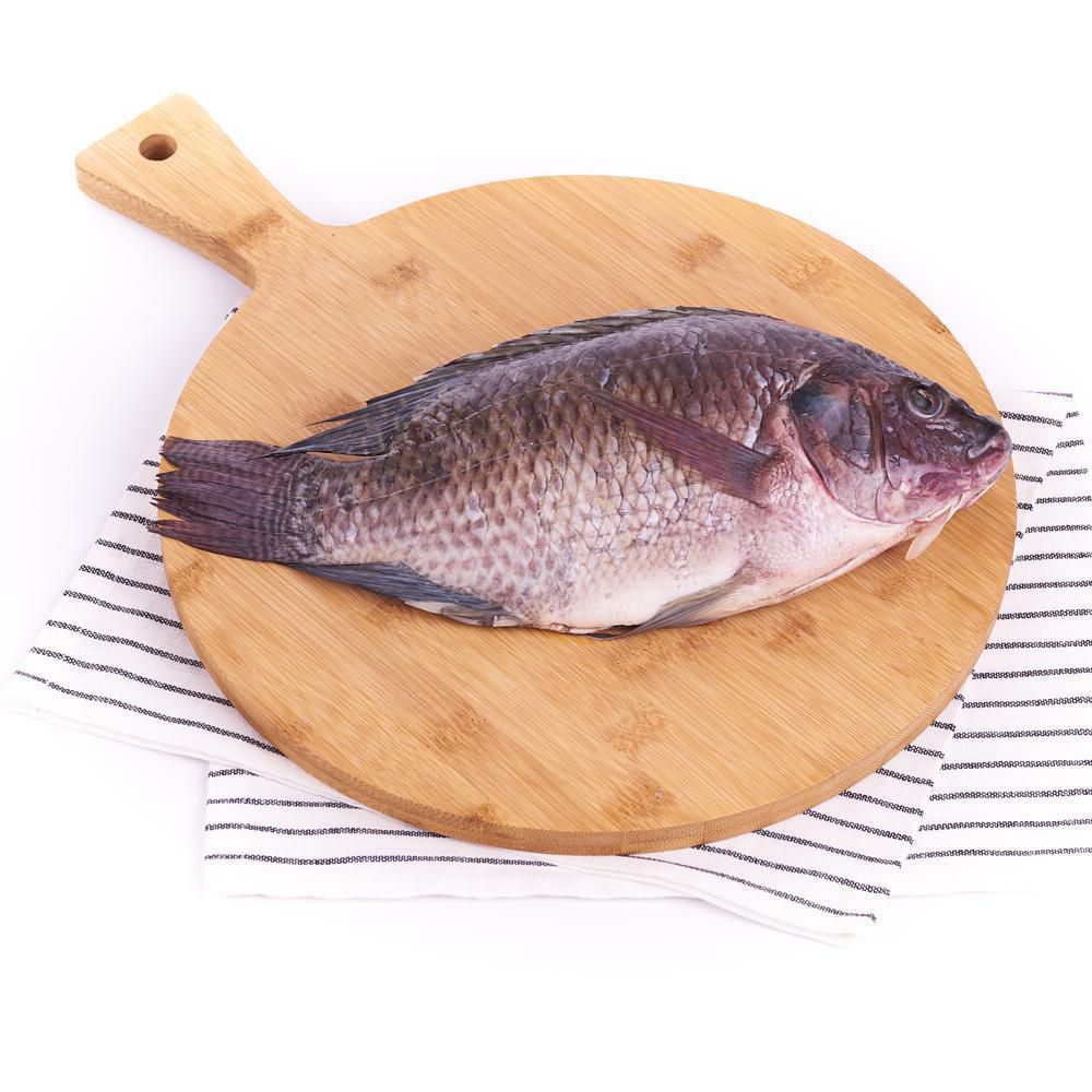 Tilapia o mojarra negra  fresca img #2
