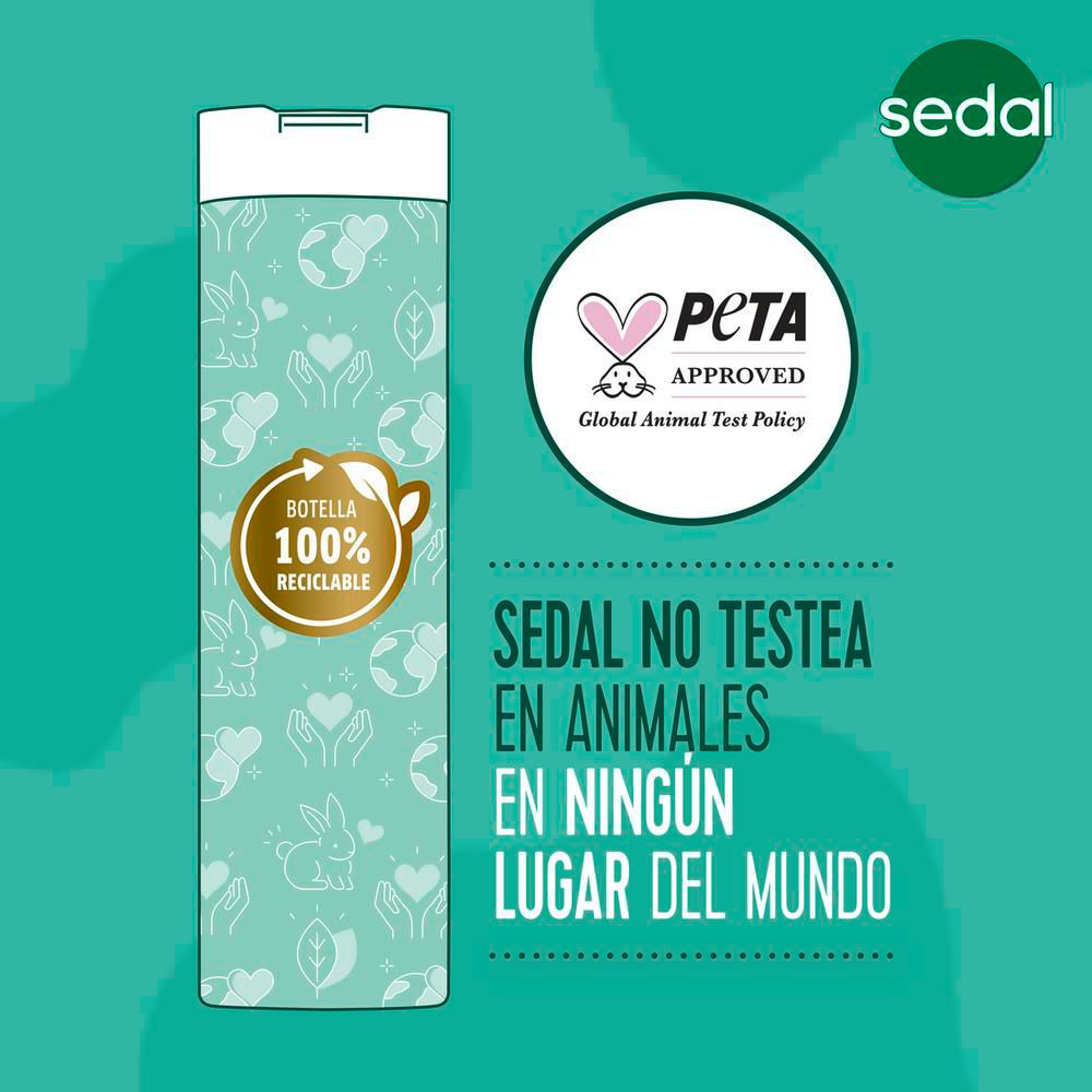 Acondicionador SEDAL rizos definidos todo el día (340  ml) img #6