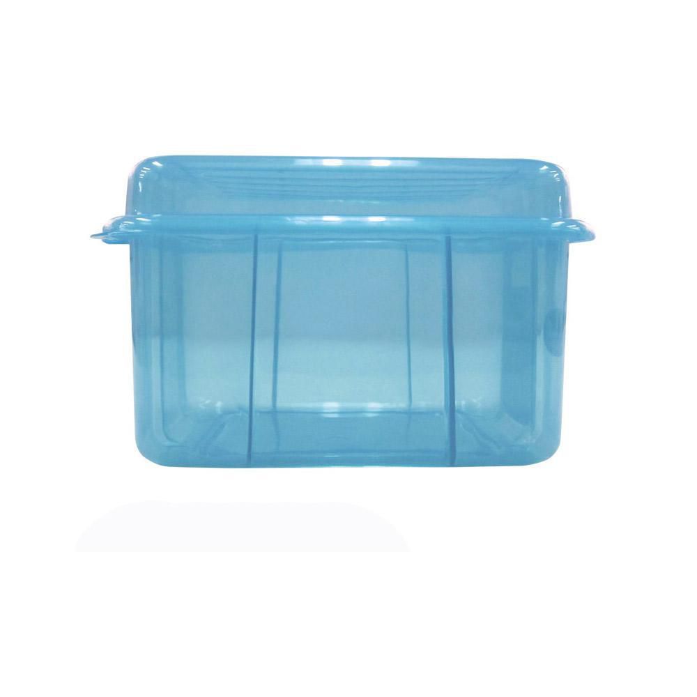 CAJA ORG.2.5LTS. AZUL VANYPLAS 25251 img #2