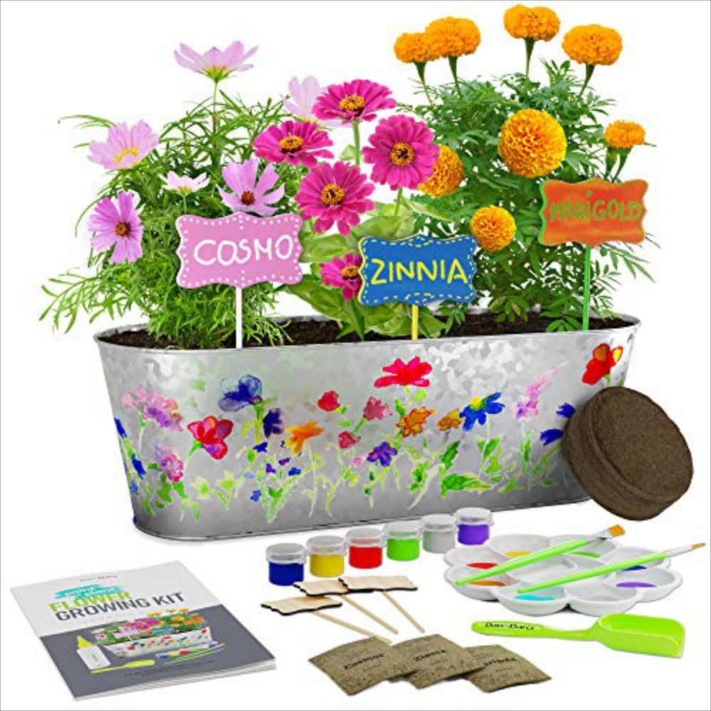 Kit De Cultivo De Flores Para Niños Y Niñas Carulla 6236