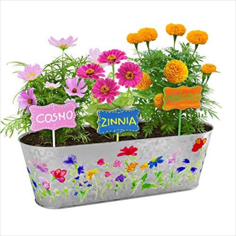 Kit De Cultivo De Flores Para Niños Y Niñas Carulla 9016