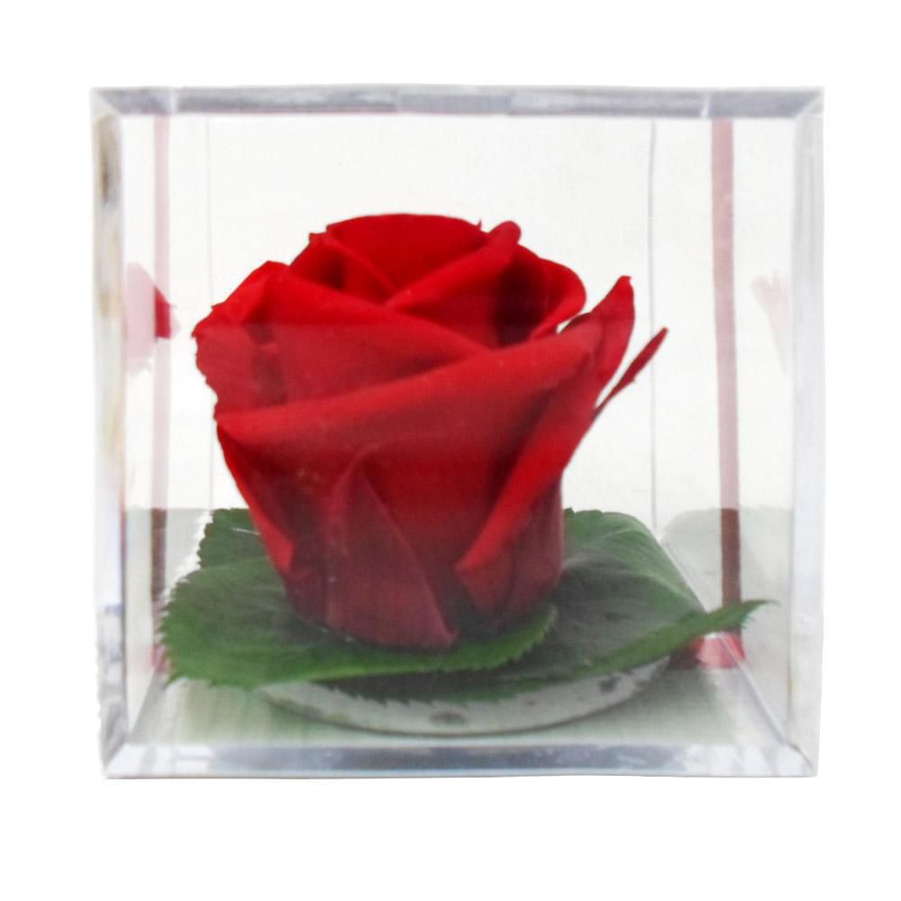 Cubo metal flor preservada roja