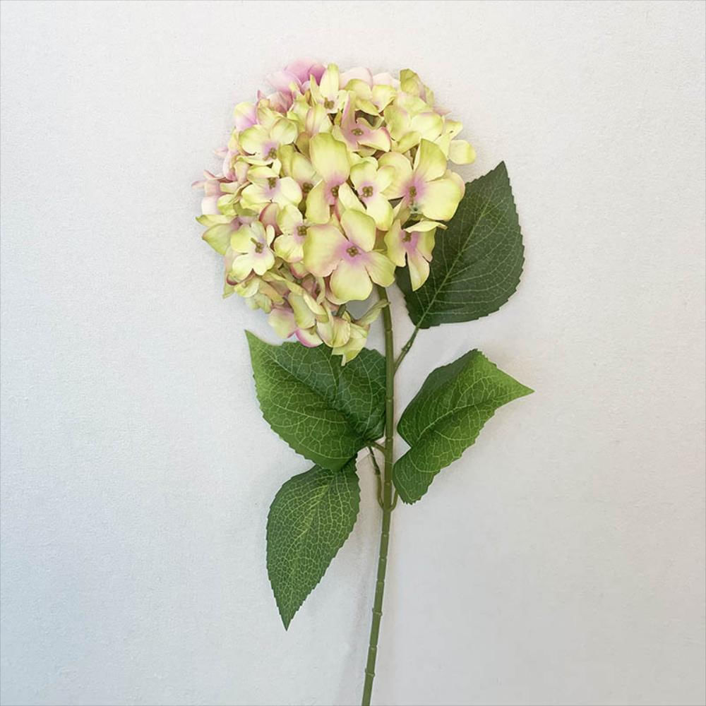 94383 Hortensia 80Cm Fucsia Verde | Carulla