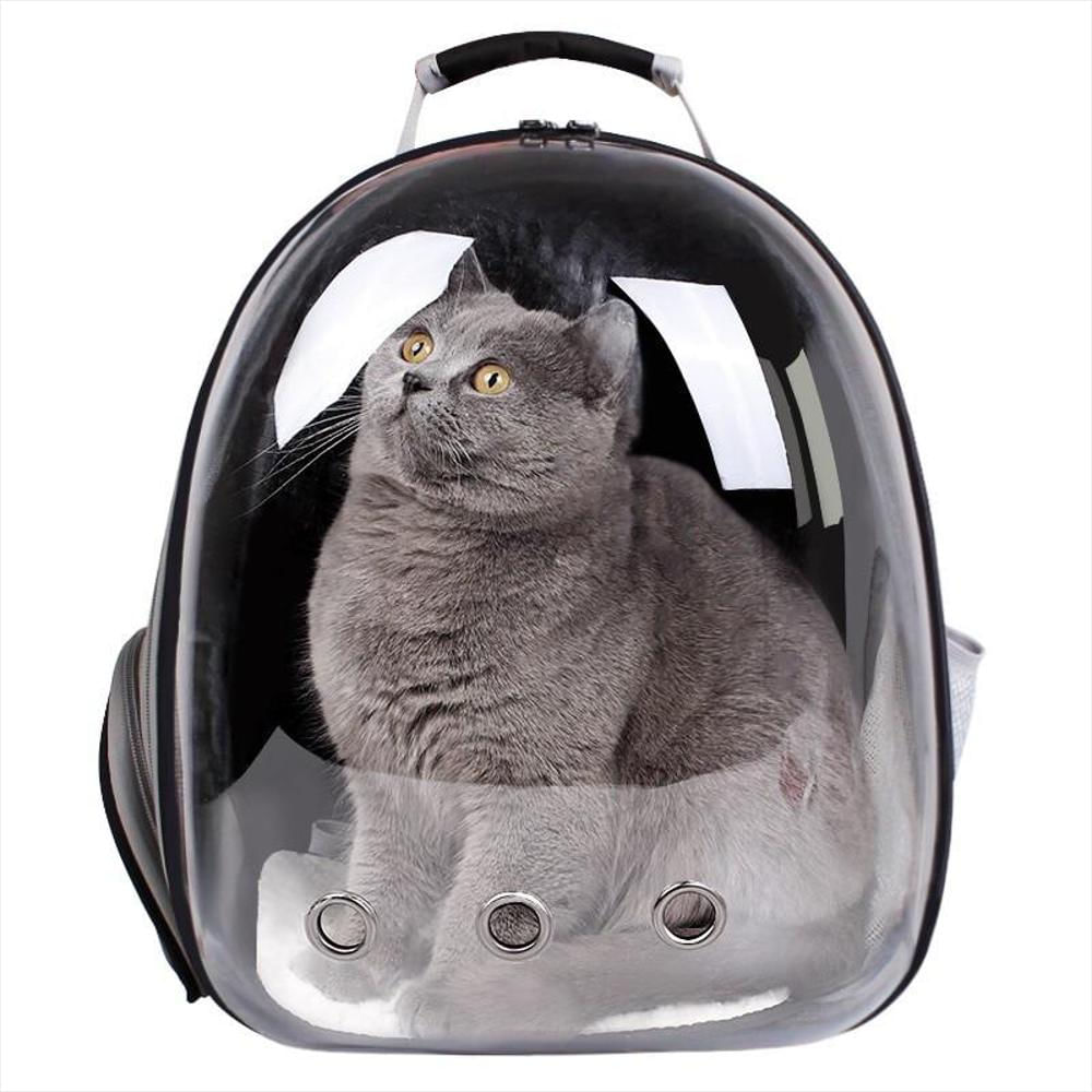 Bolsos para cargar online gatos