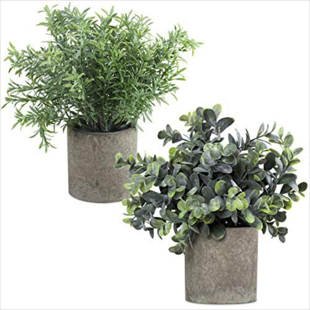 Plantas Artificiales Para Baño Decoración Del Hoga | Carulla