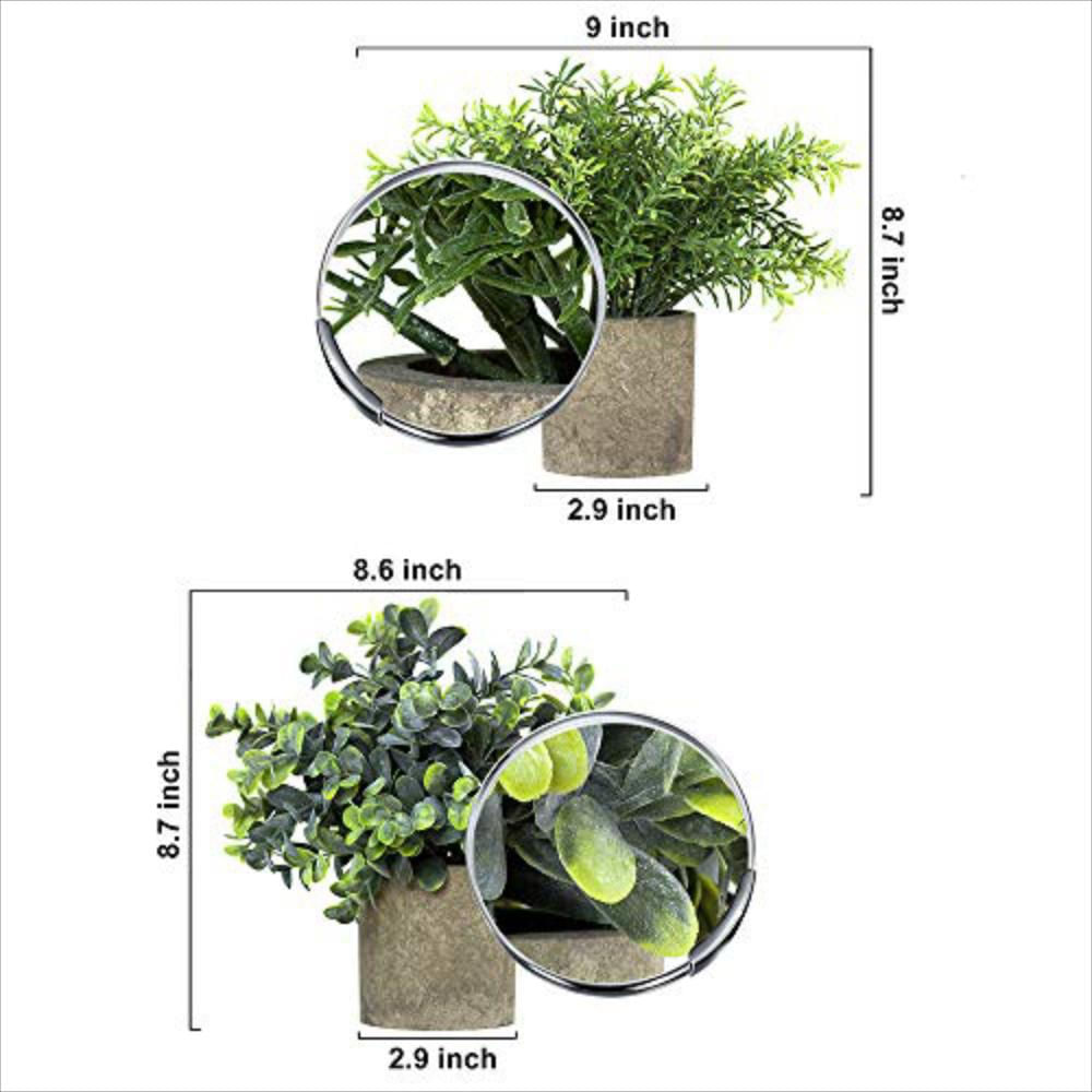 Plantas Artificiales Para Baño Decoración Del Hoga | Carulla