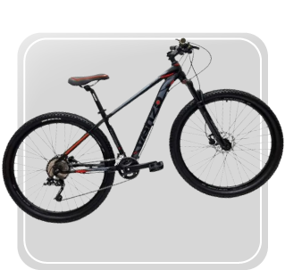 Bicicletas y accesorios